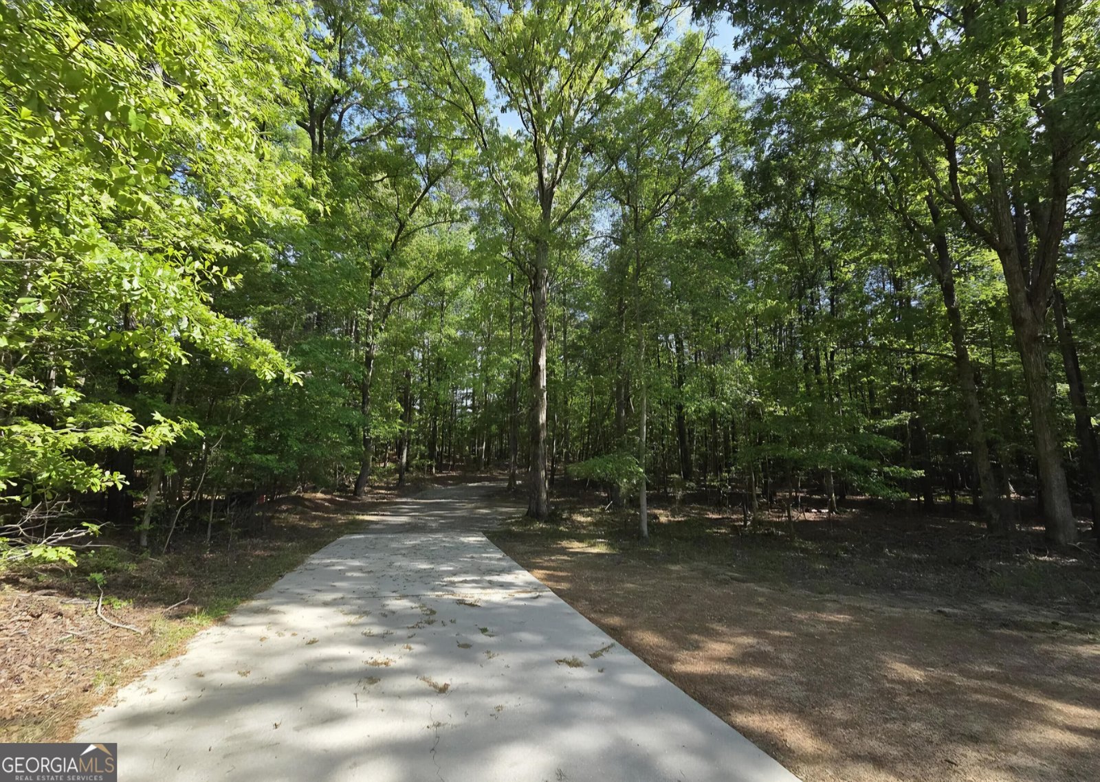 453 Jackson Lake Inn Road Jackson - 6