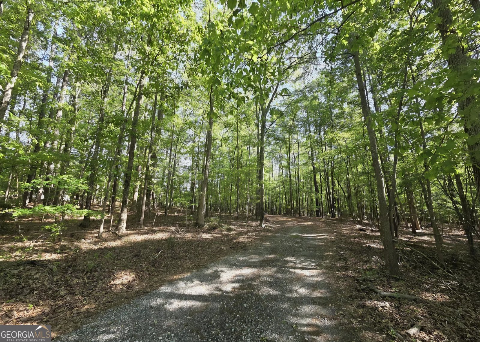 453 Jackson Lake Inn Road Jackson - 7