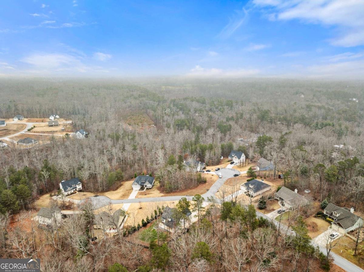 137 Bryn Drive Dawsonville - 48