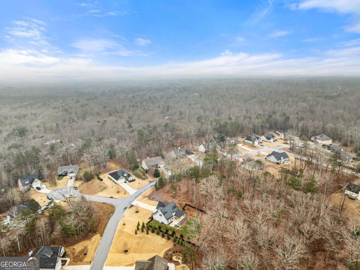 137 Bryn Drive Dawsonville - 50