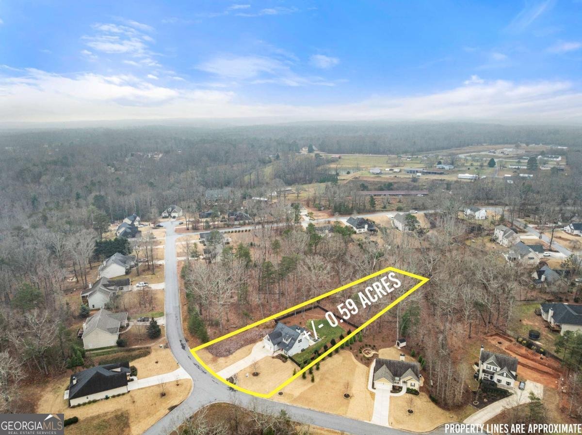 137 Bryn Drive Dawsonville - 8