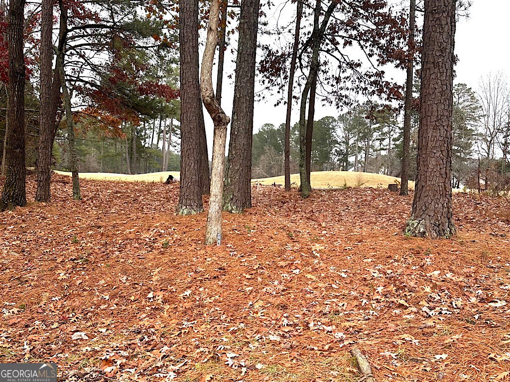 2431 Apalachee Way Run Dacula - 18