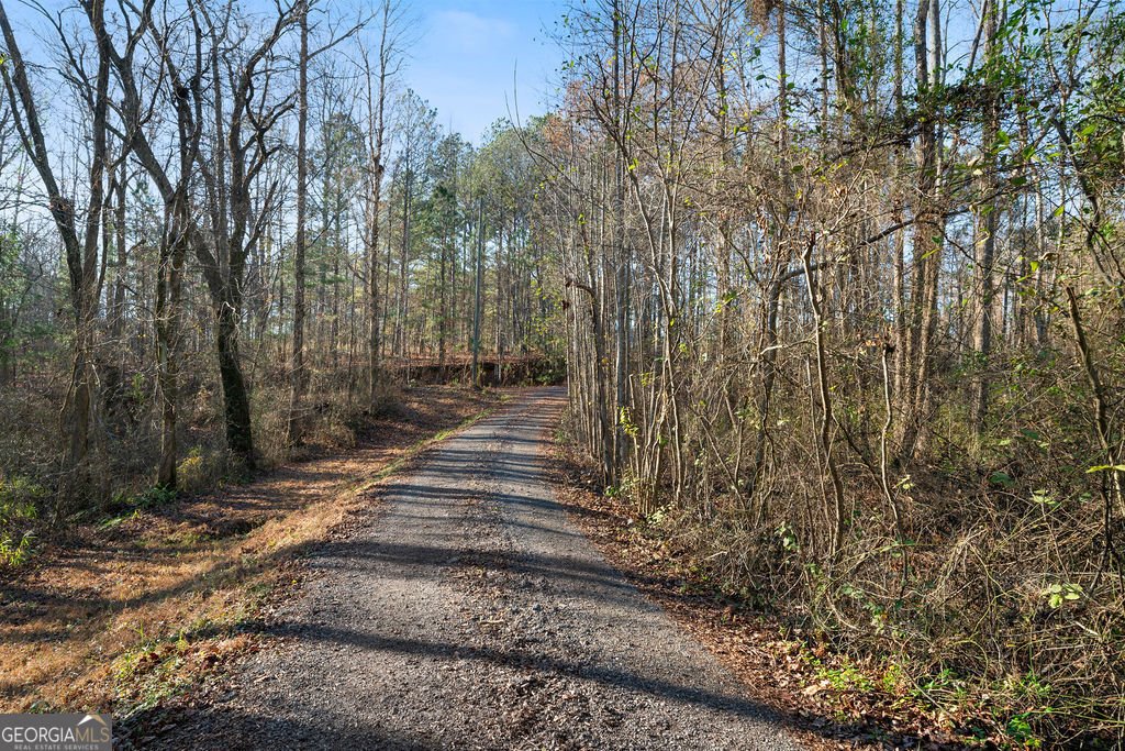 39 Rosemary Path Rockmart - 30