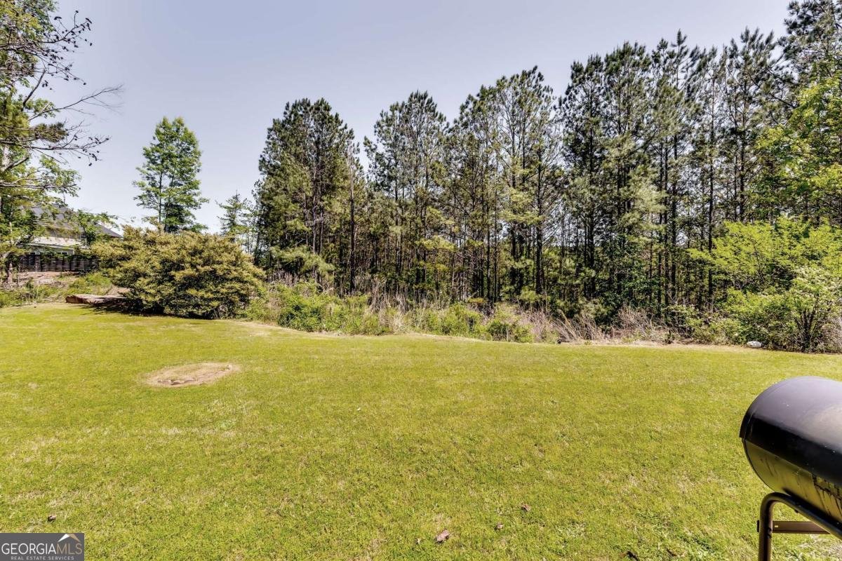 3710 Burling Ridge Lithonia - 29