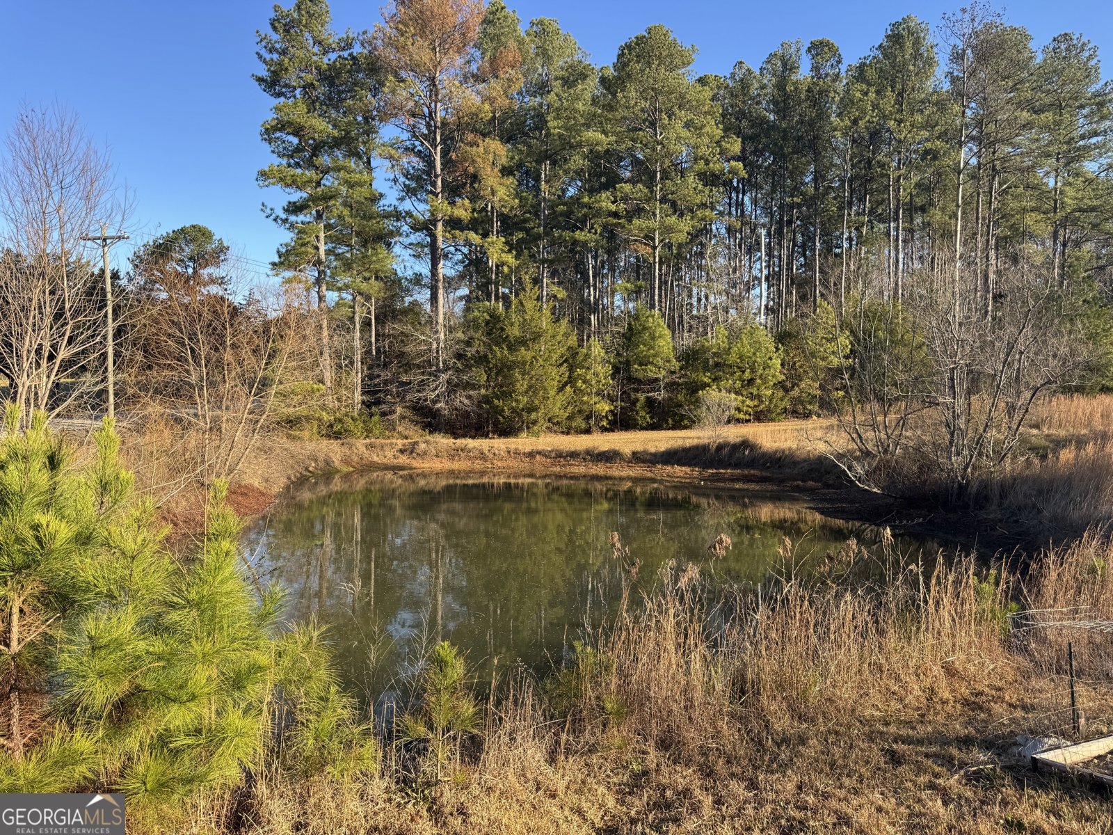 1719 Tallapoosa Highway Cedartown - 13