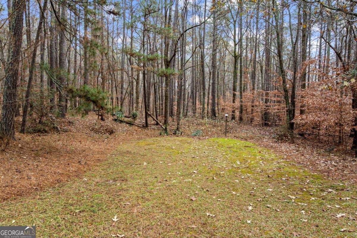 2876 Old Peachtree Road Dacula - 39