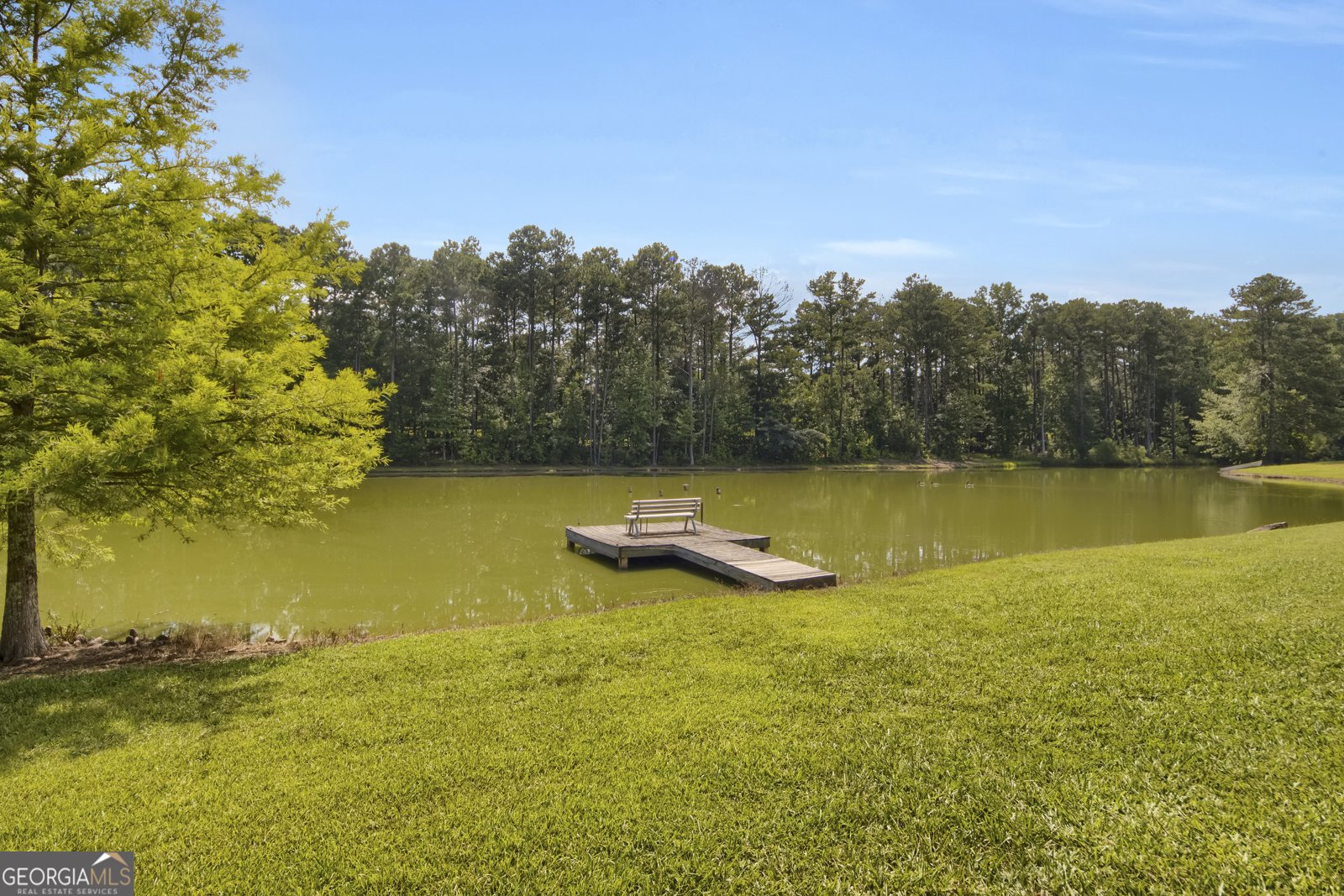 595 Antioch Road McDonough - 4