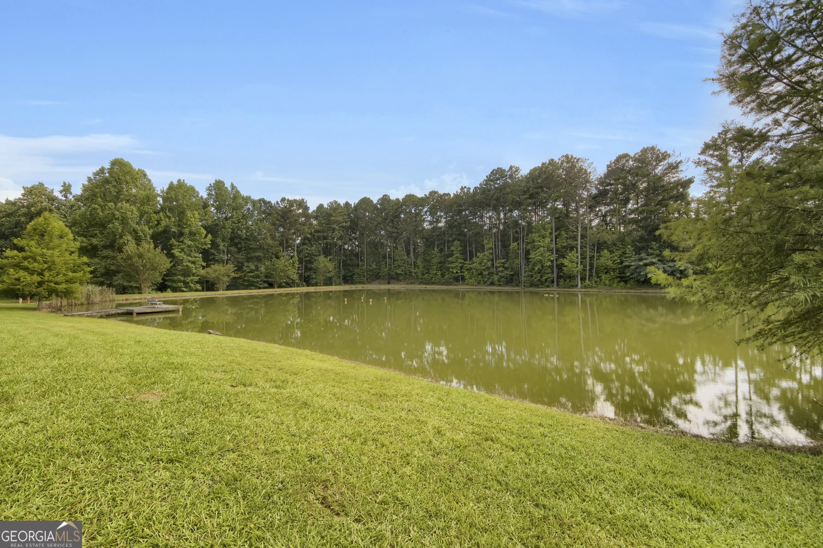 595 Antioch Road McDonough - 5