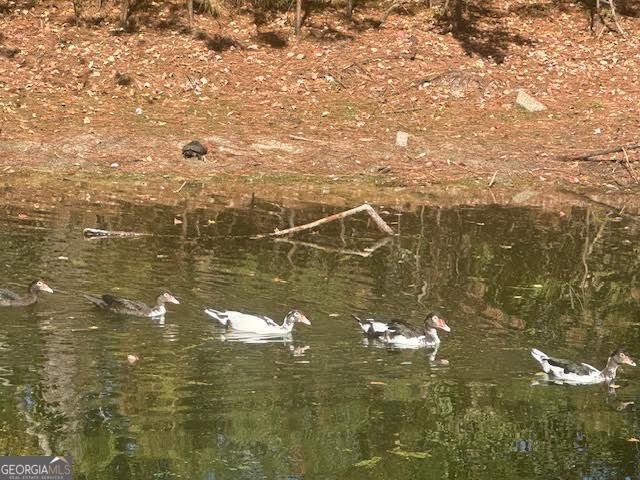 950 Lakeside Drive Valdosta - 5