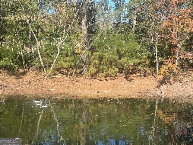 950 Lakeside Drive Valdosta - 6