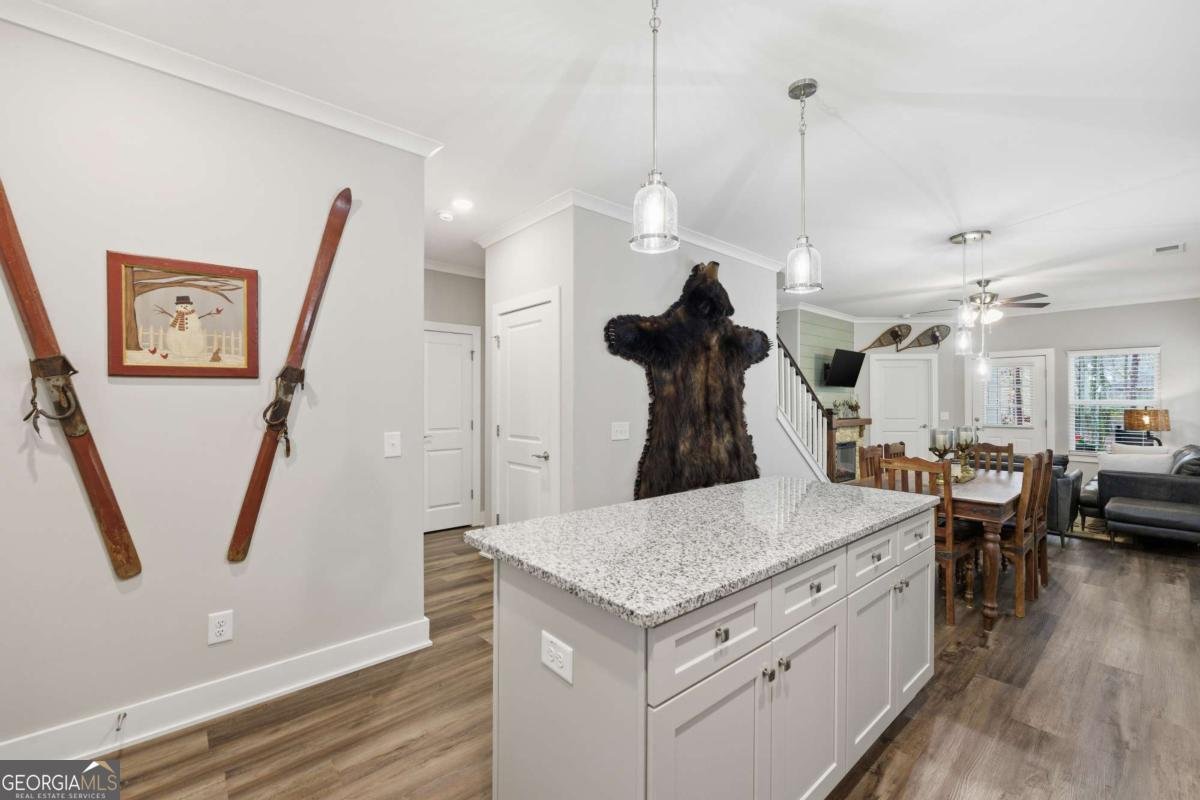 210 Hillside Drive Waleska - 10