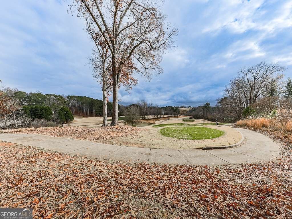 306 Avery Creek Way Canton - 36