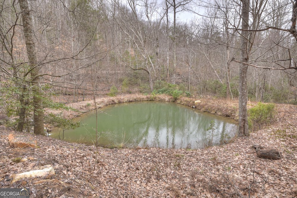 442 Burgess Gap Road Morganton - 11