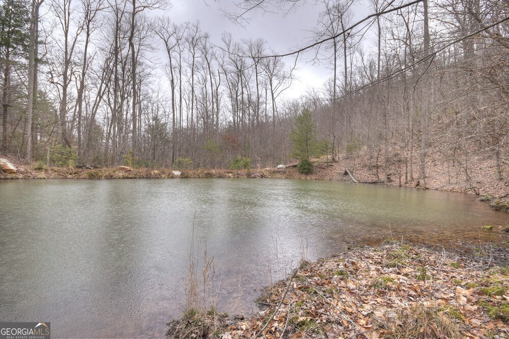 442 Burgess Gap Road Morganton - 13