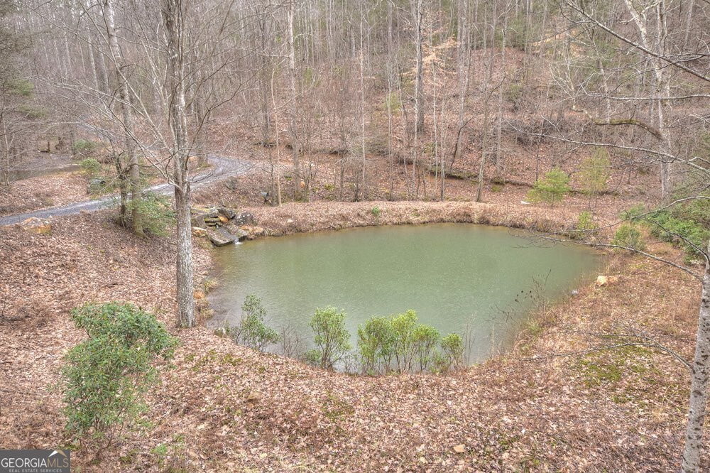 442 Burgess Gap Road Morganton - 15