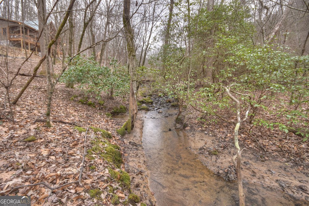 442 Burgess Gap Road Morganton - 16