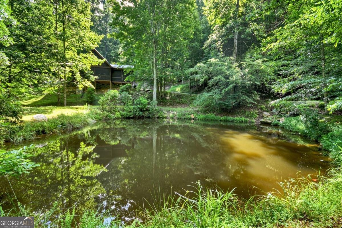 442 Burgess Gap Road Morganton - 25