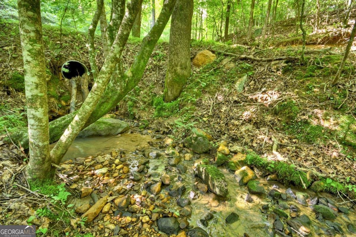 442 Burgess Gap Road Morganton - 41