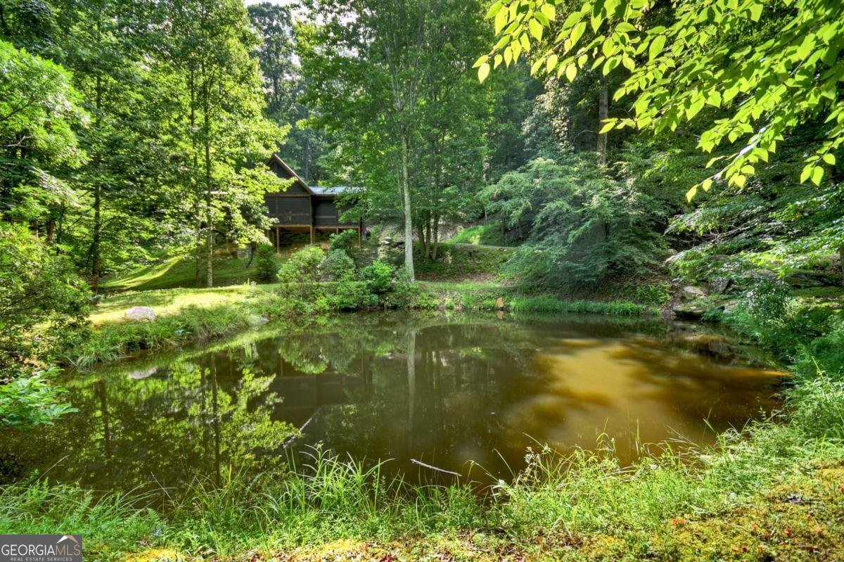 442 Burgess Gap Road Morganton - 42