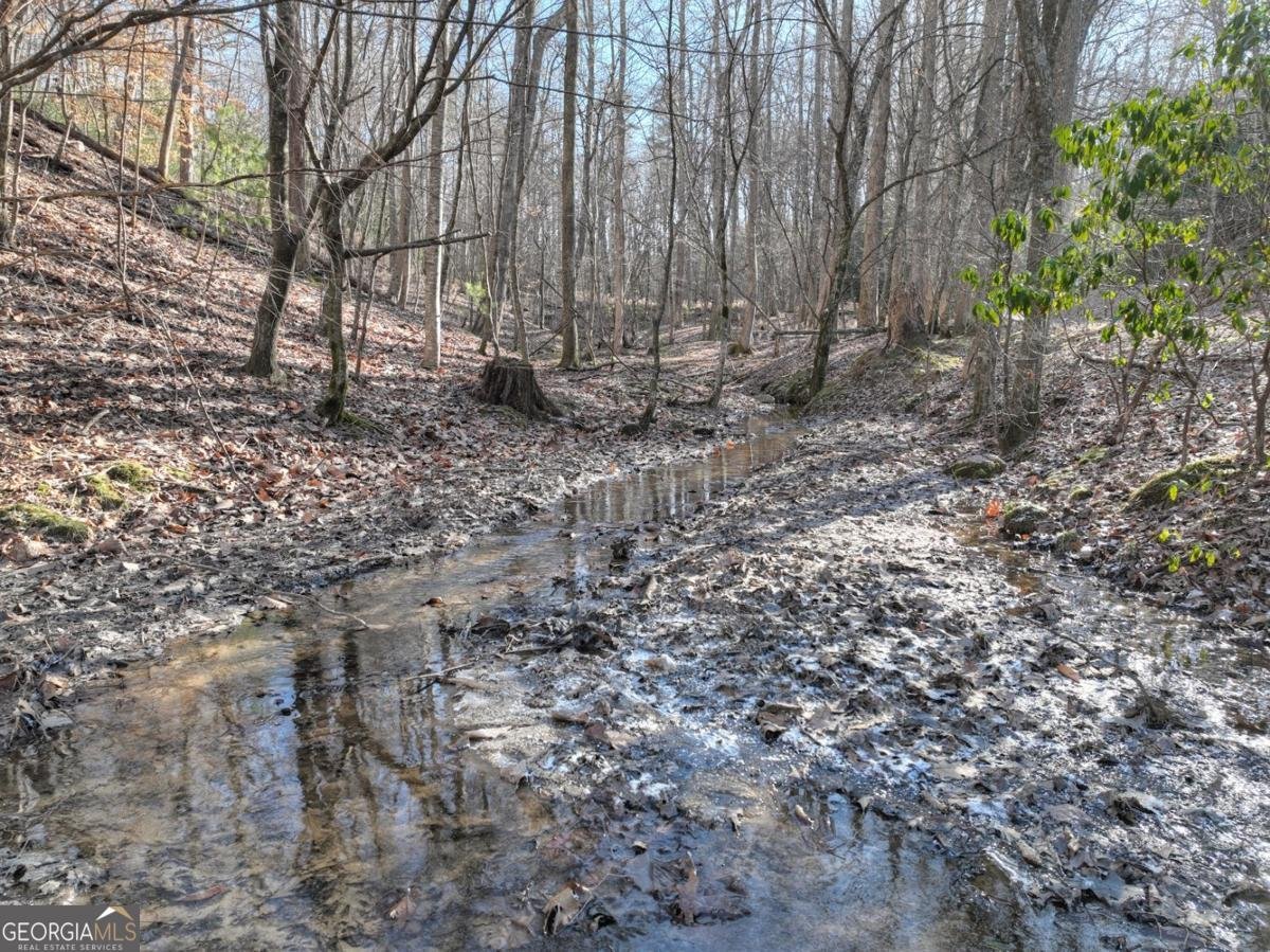 442 Burgess Gap Road Morganton - 49