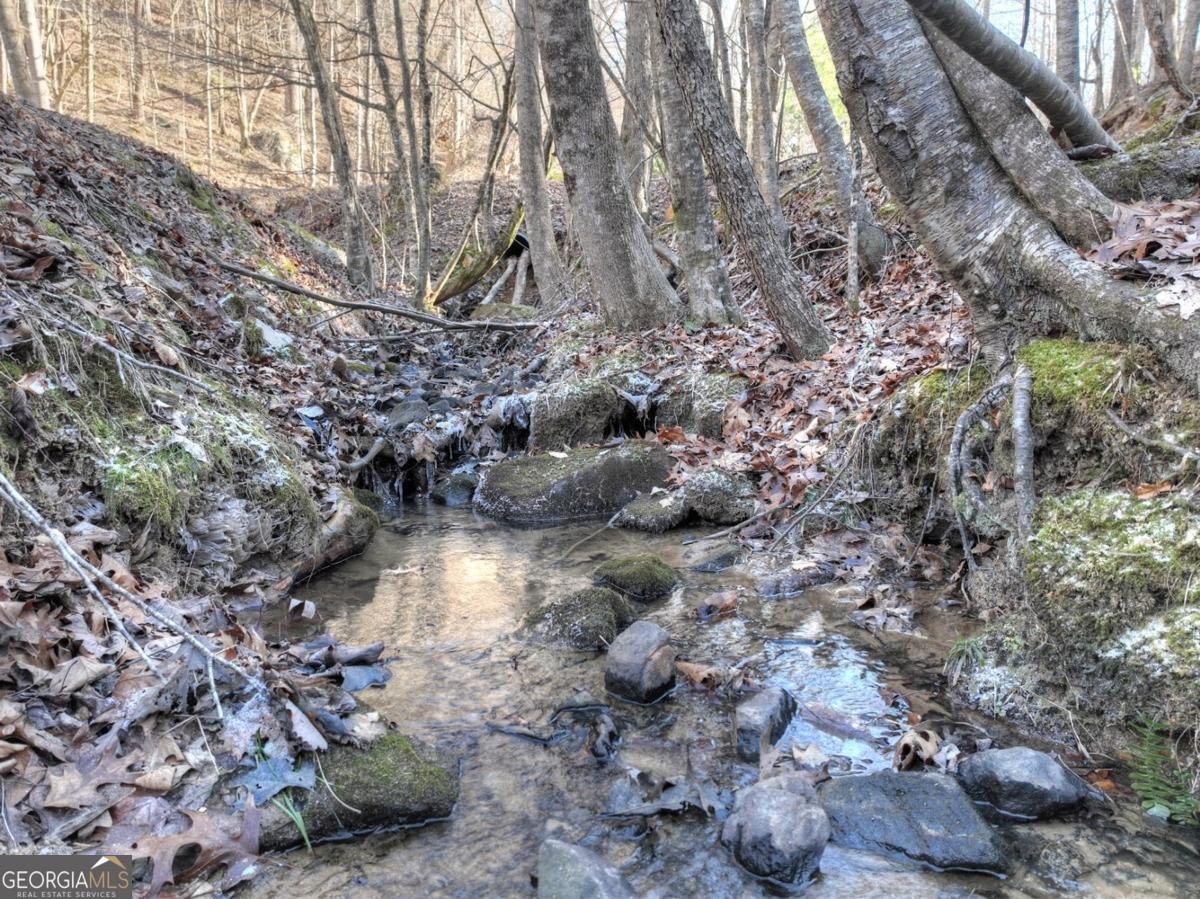 442 Burgess Gap Road Morganton - 72