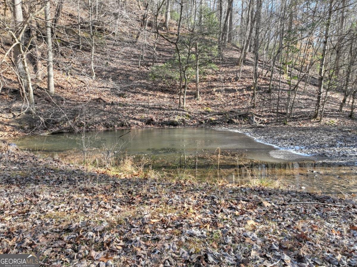 442 Burgess Gap Road Morganton - 77