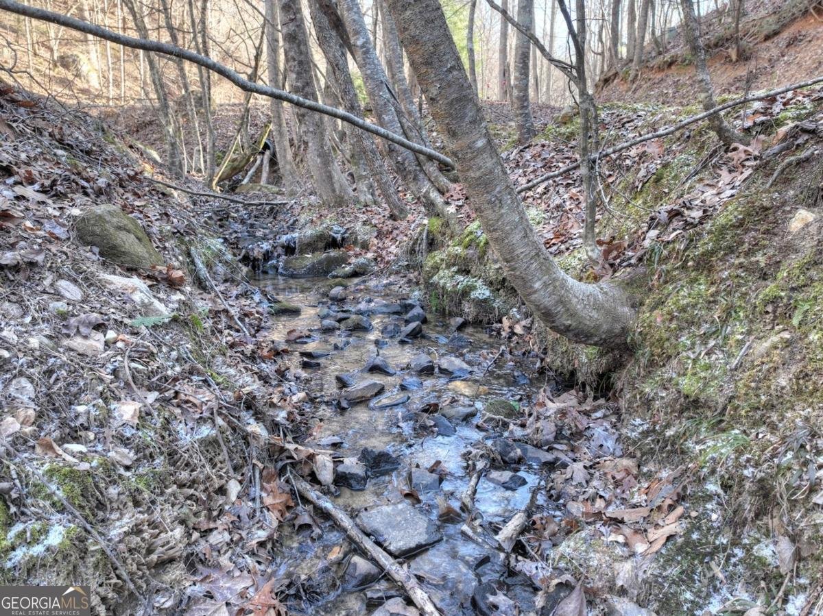 442 Burgess Gap Road Morganton - 79