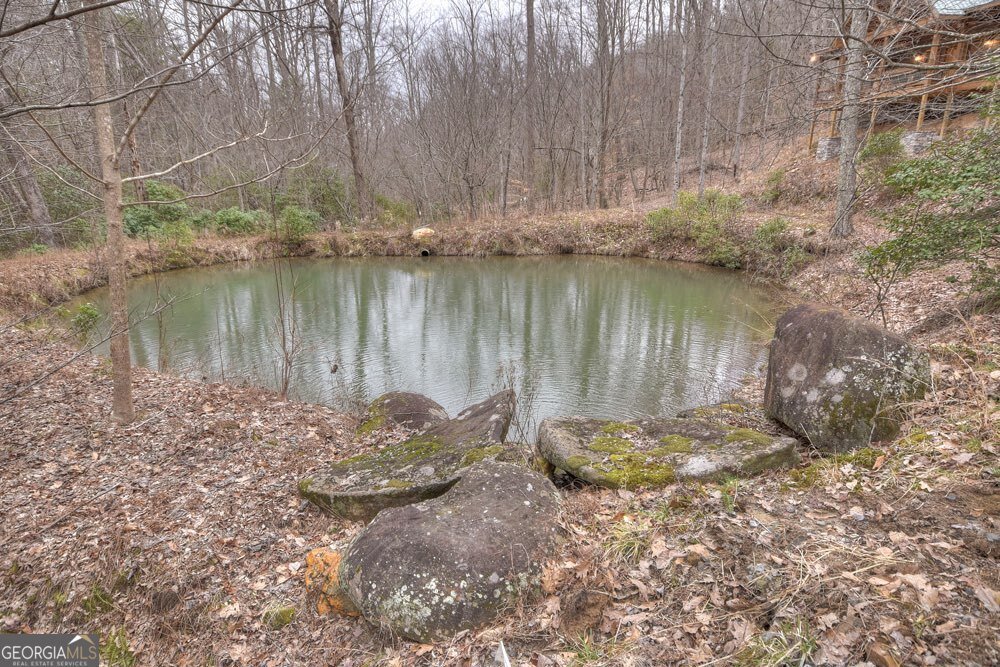 442 Burgess Gap Road Morganton - 8