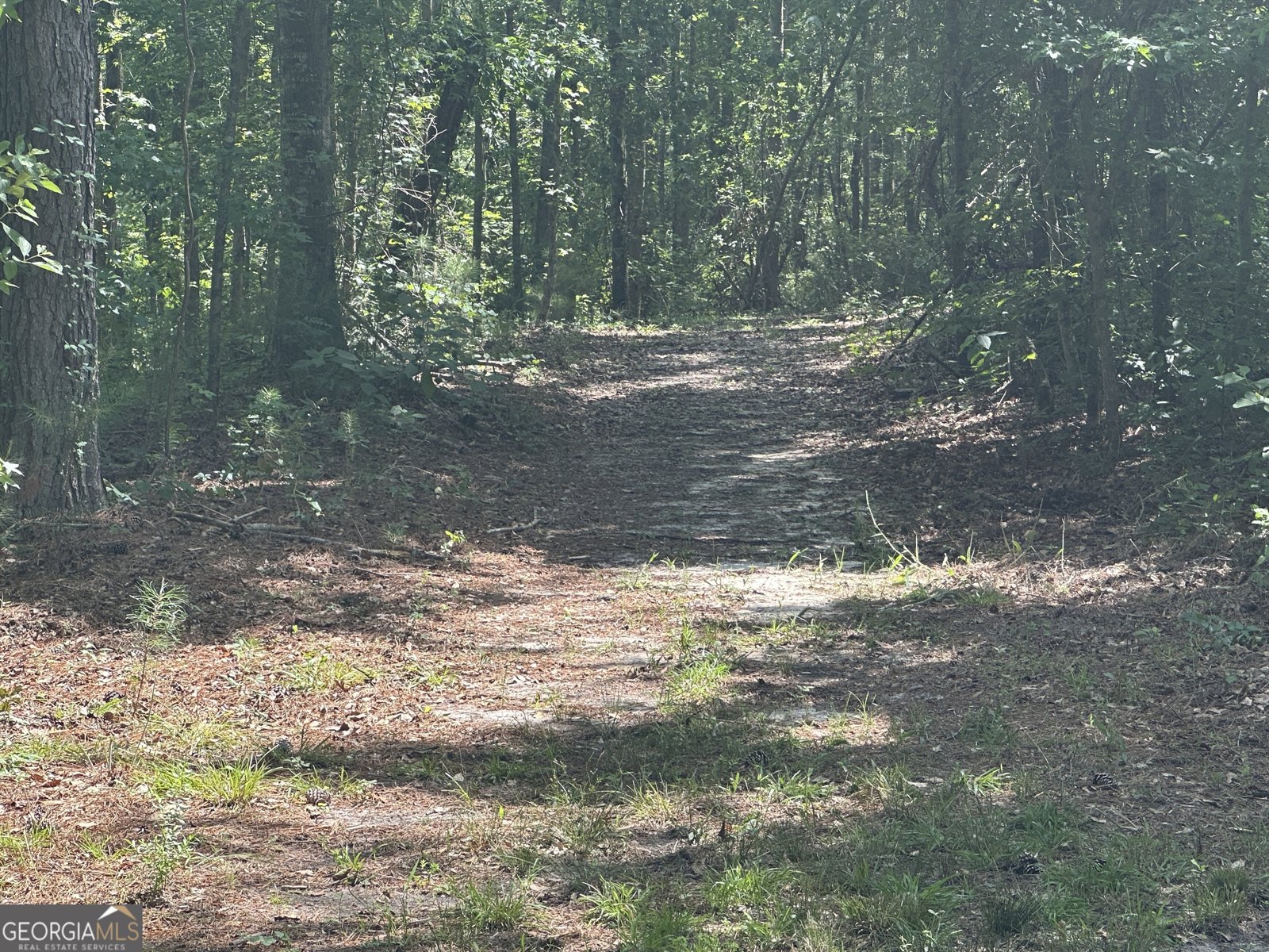 925 Cleary Road Brooklet - 33