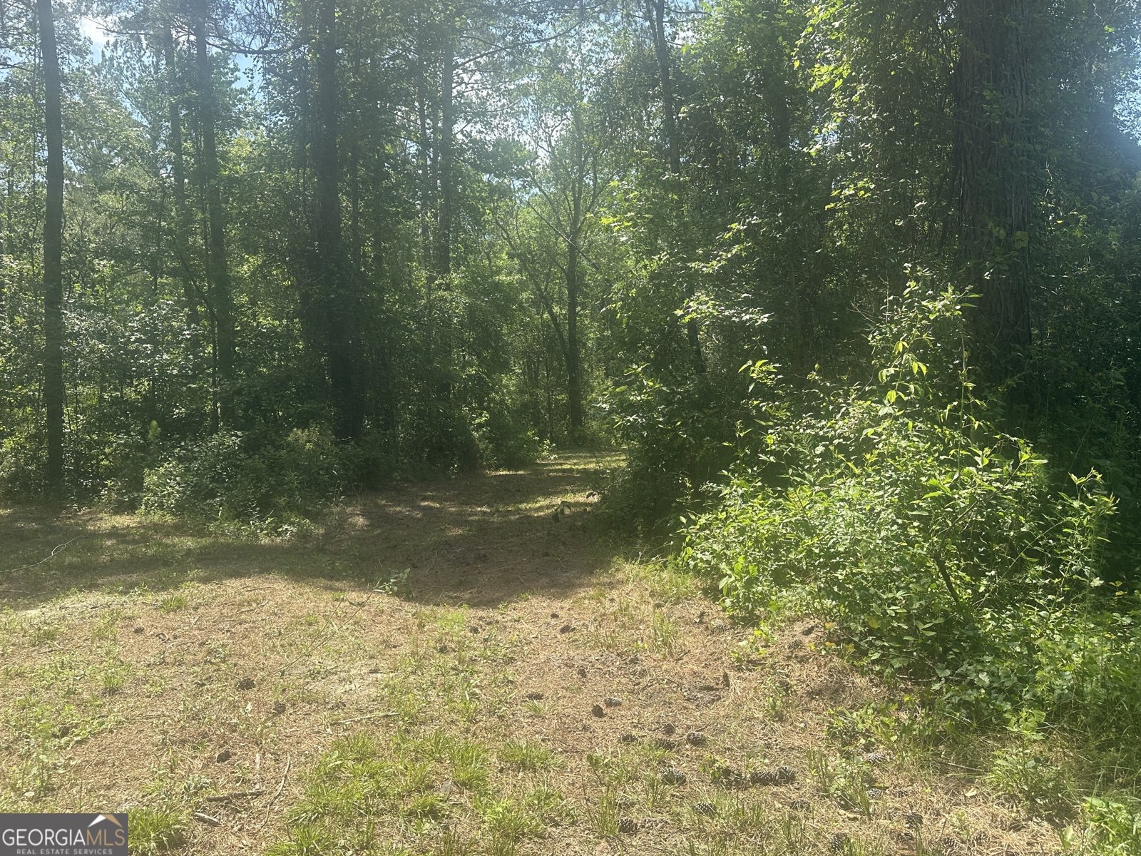 925 Cleary Road Brooklet - 35