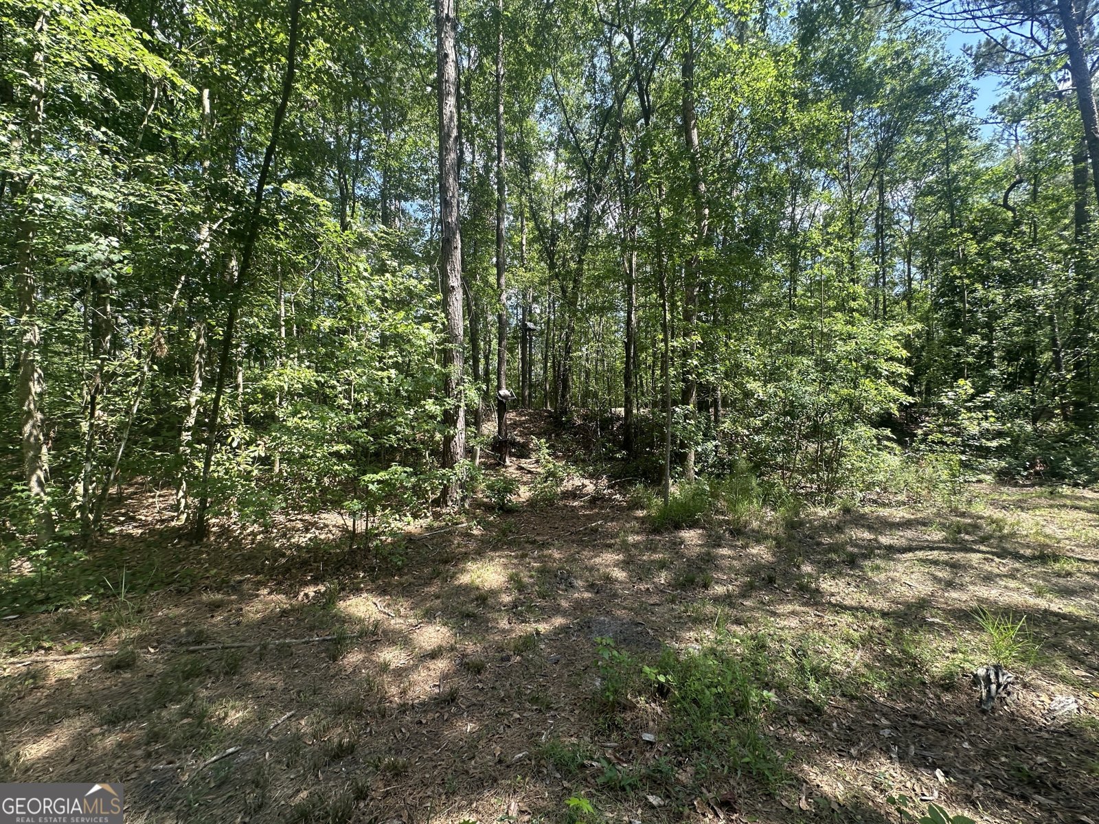 925 Cleary Road Brooklet - 36