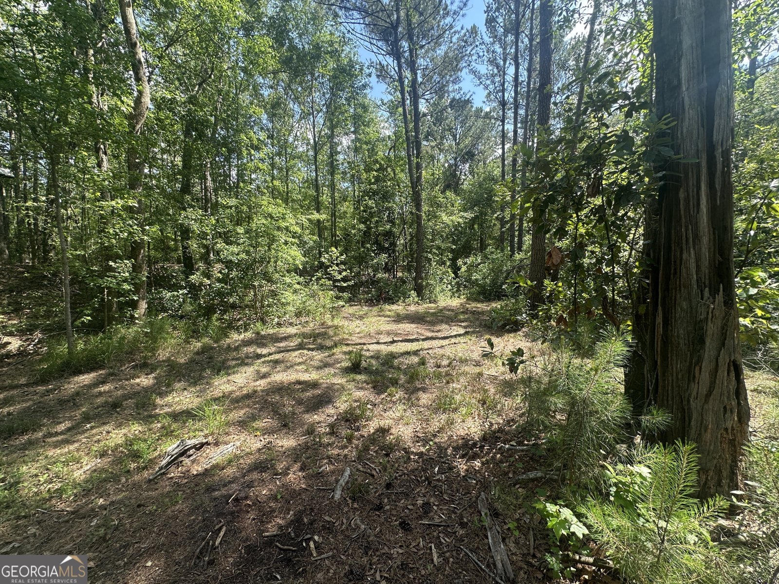 925 Cleary Road Brooklet - 37