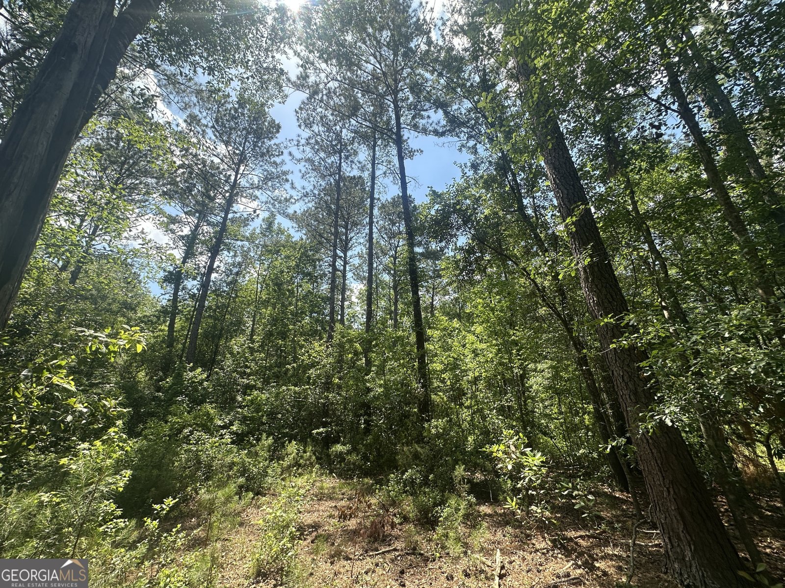 925 Cleary Road Brooklet - 38