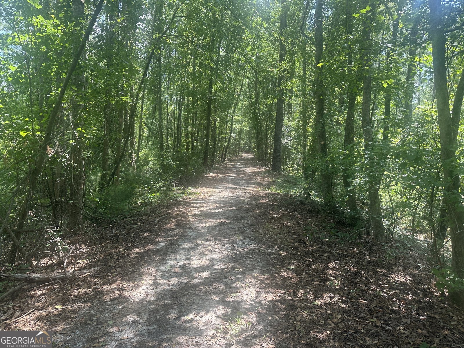 925 Cleary Road Brooklet - 39