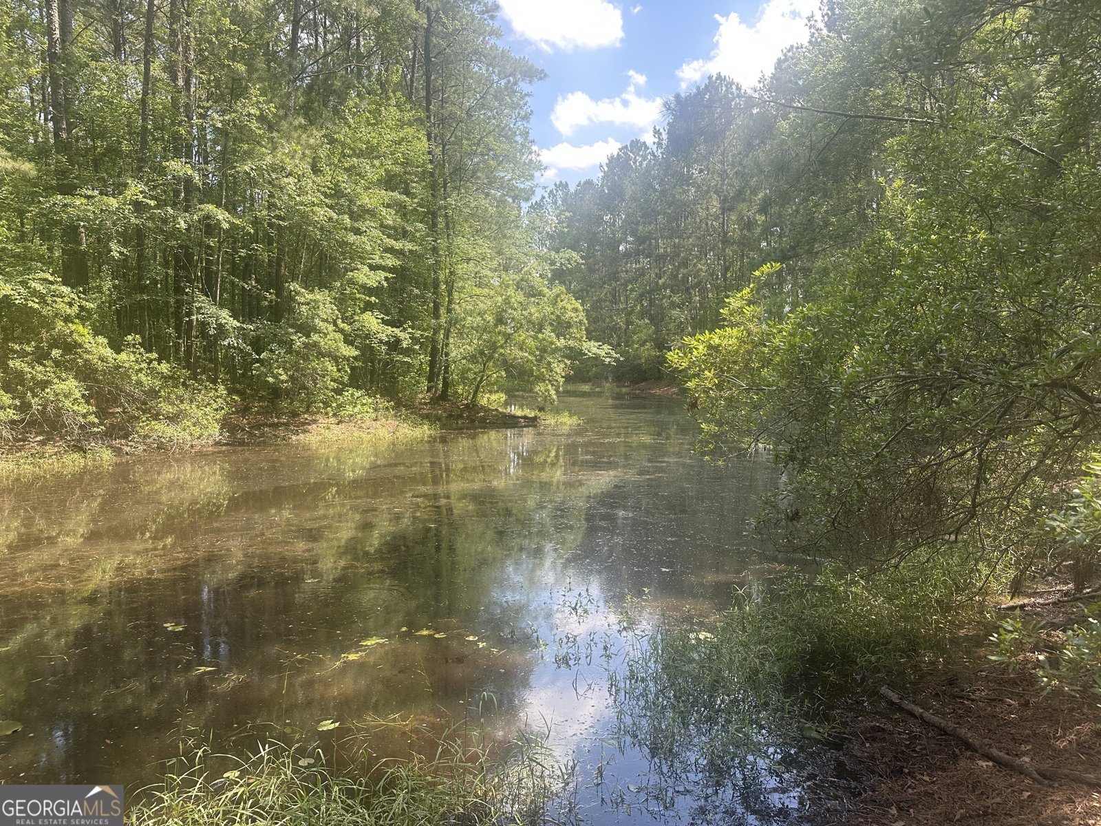 925 Cleary Road Brooklet - 40