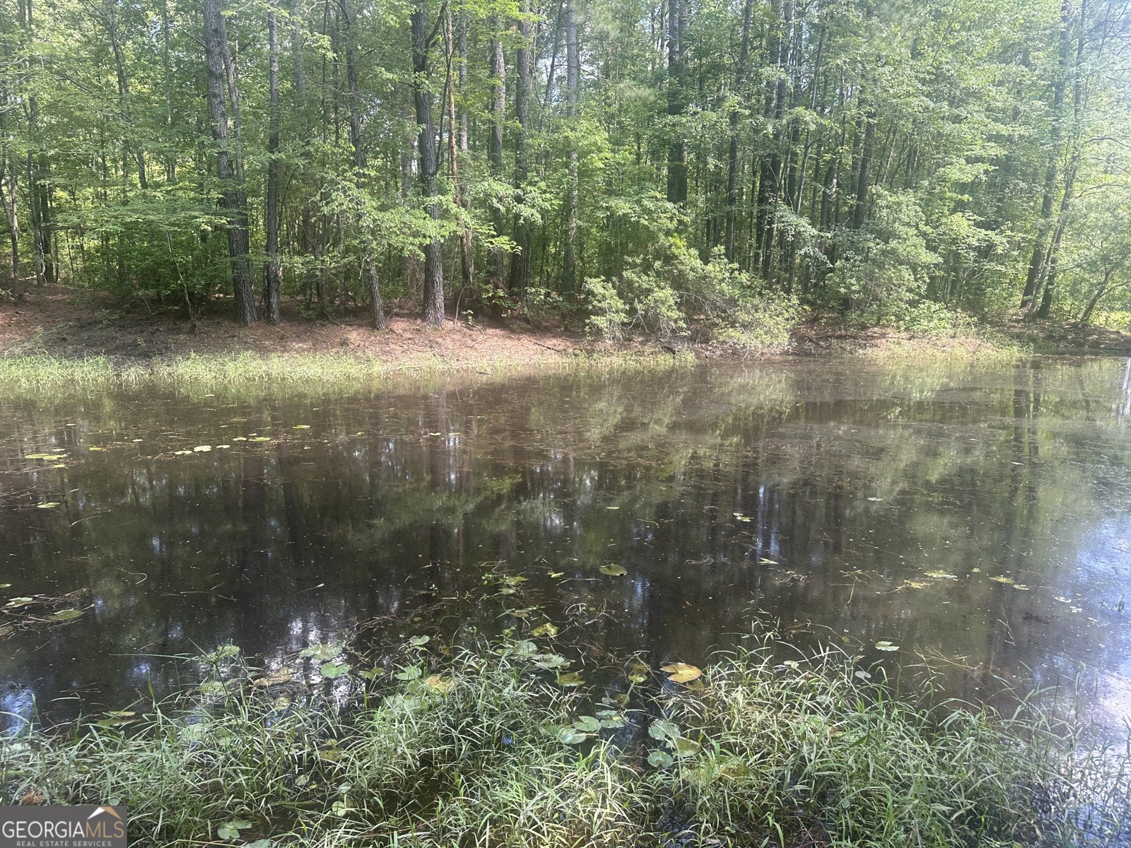 925 Cleary Road Brooklet - 41