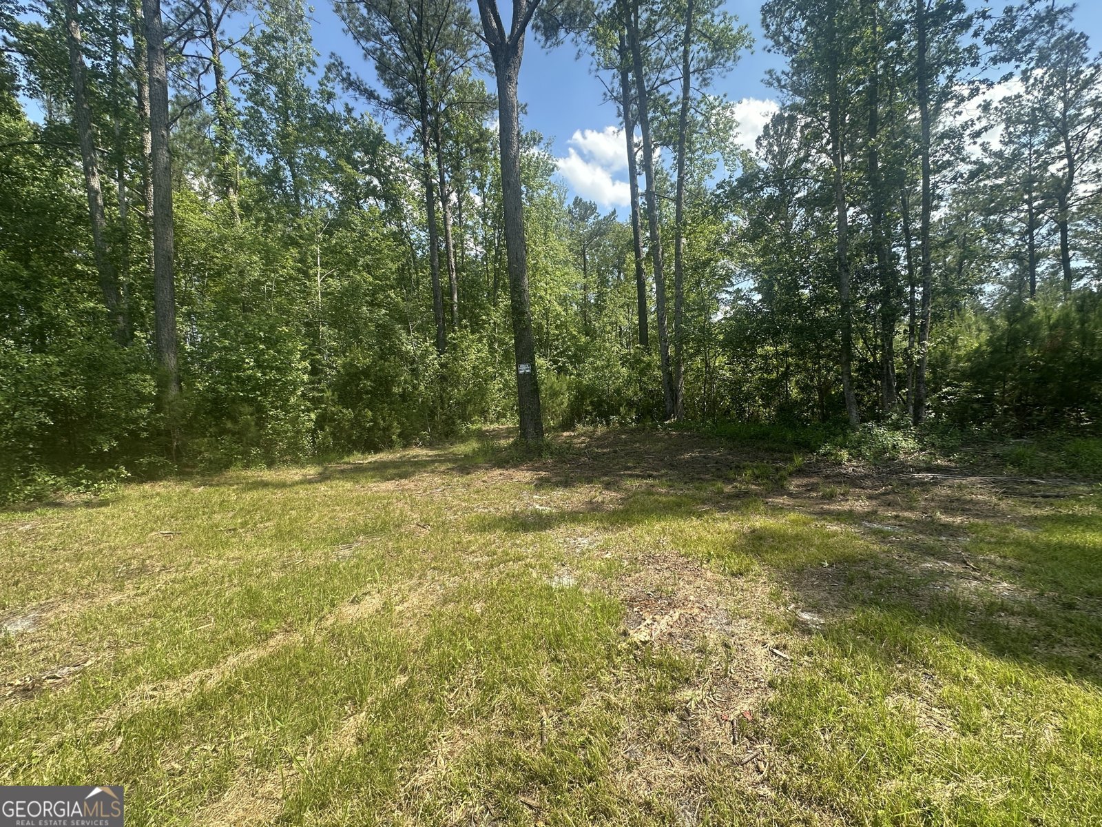 925 Cleary Road Brooklet - Photo 46