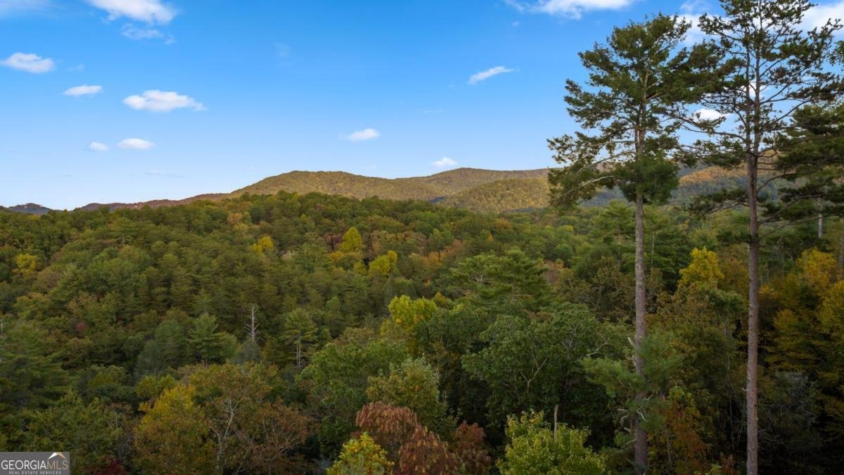 709 Laurel Creek Trail Blue Ridge - 11