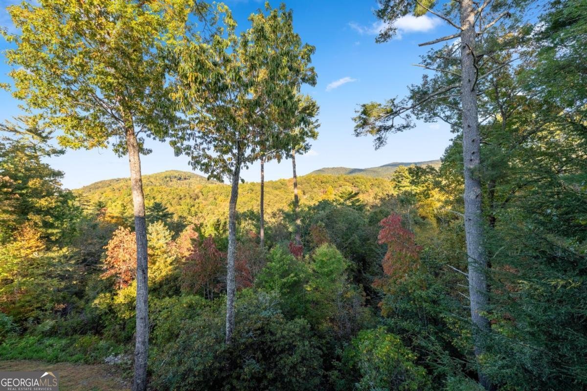 709 Laurel Creek Trail Blue Ridge - 21