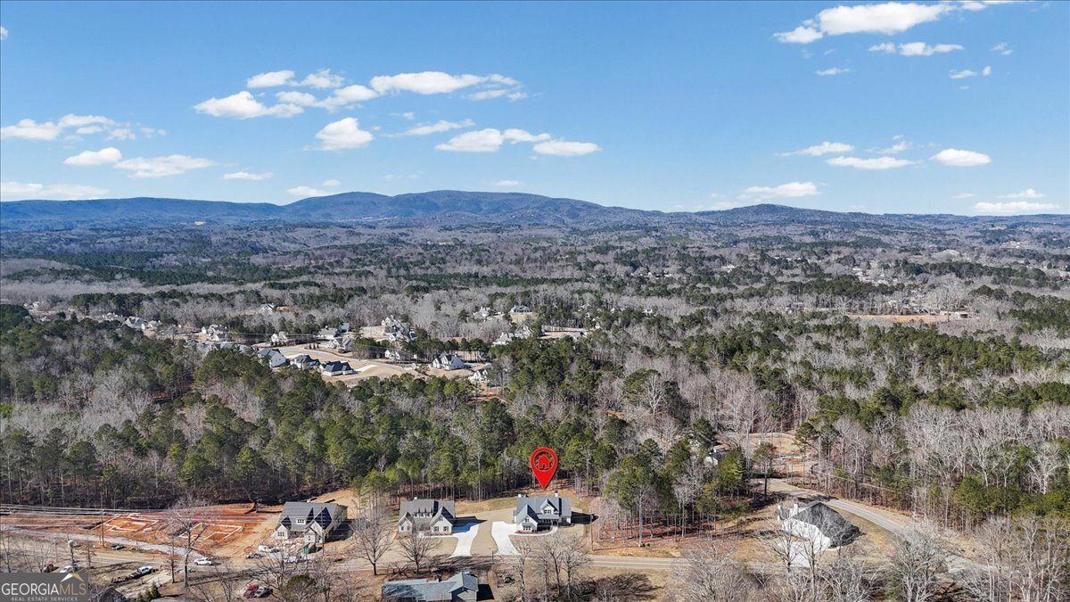 1723 Darby Road Waleska - Photo 56