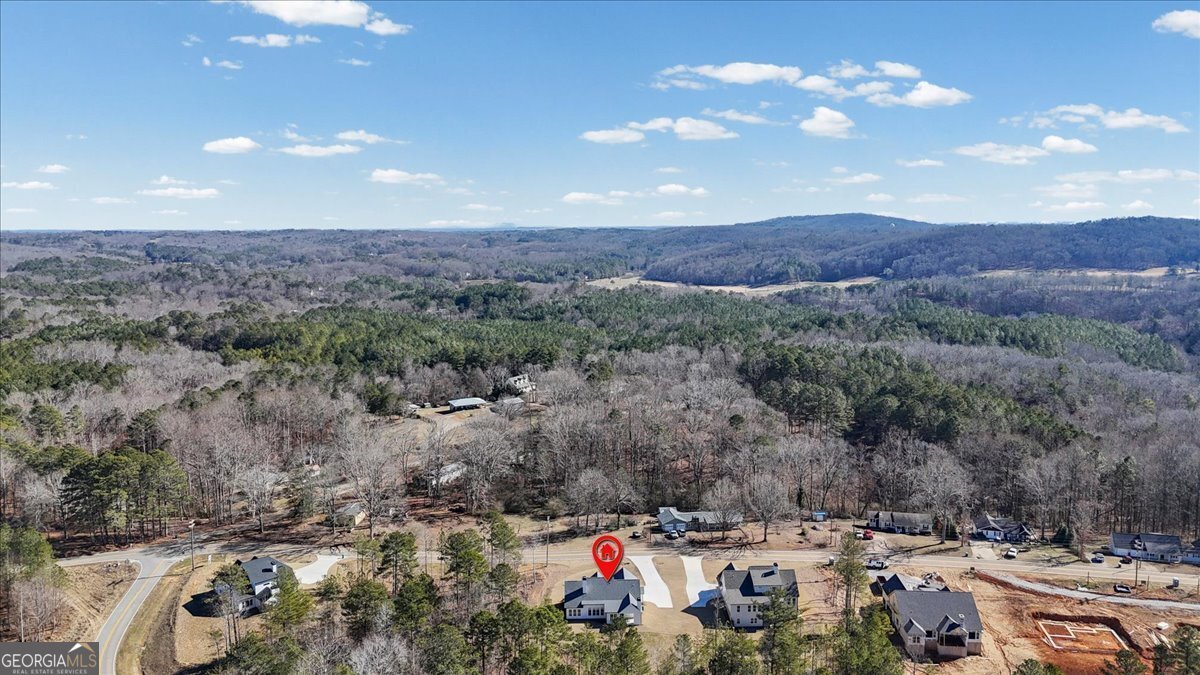 1723 Darby Road Waleska - Photo 57