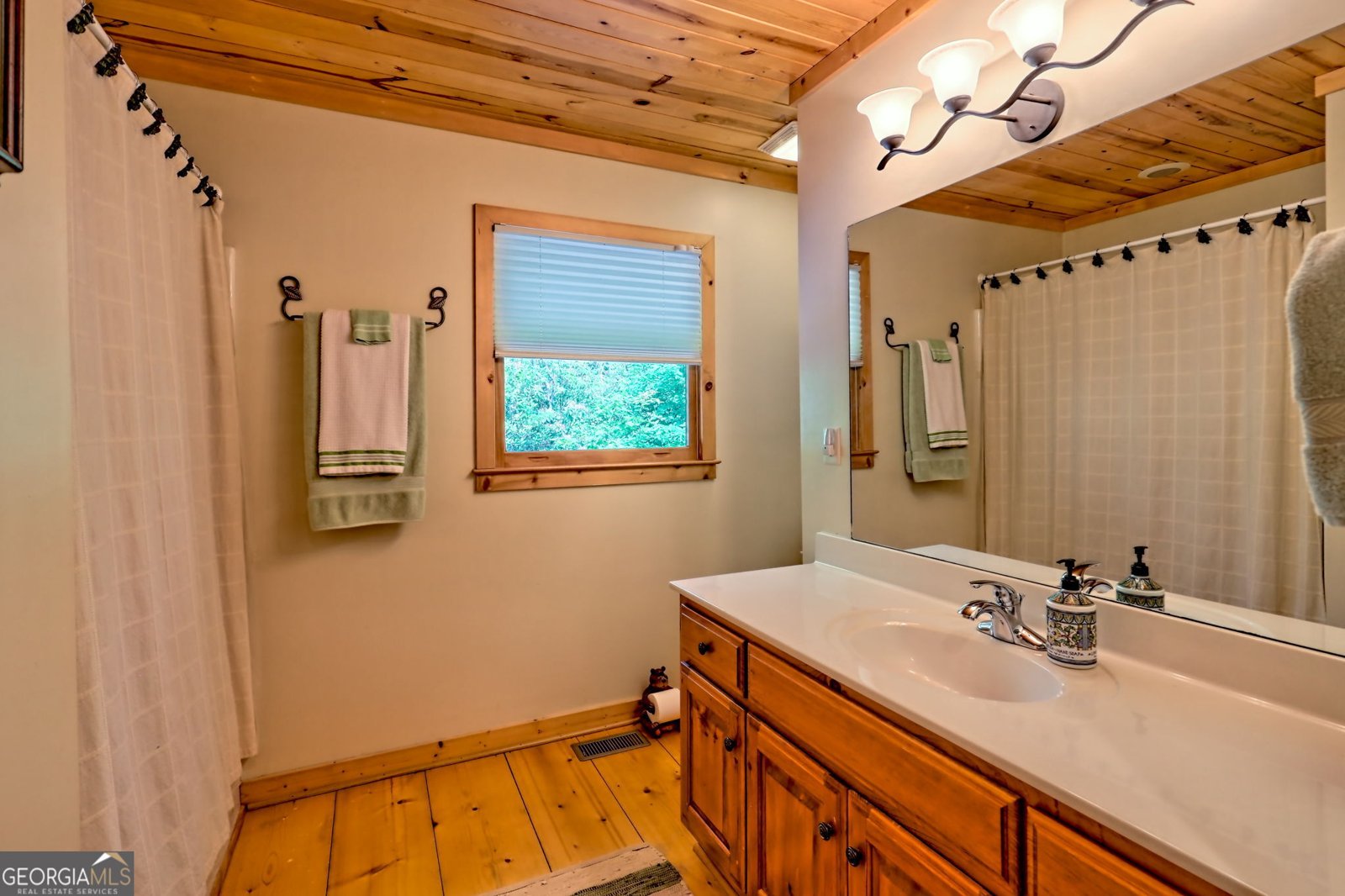 331 Black Bear Den Road Clayton - 16