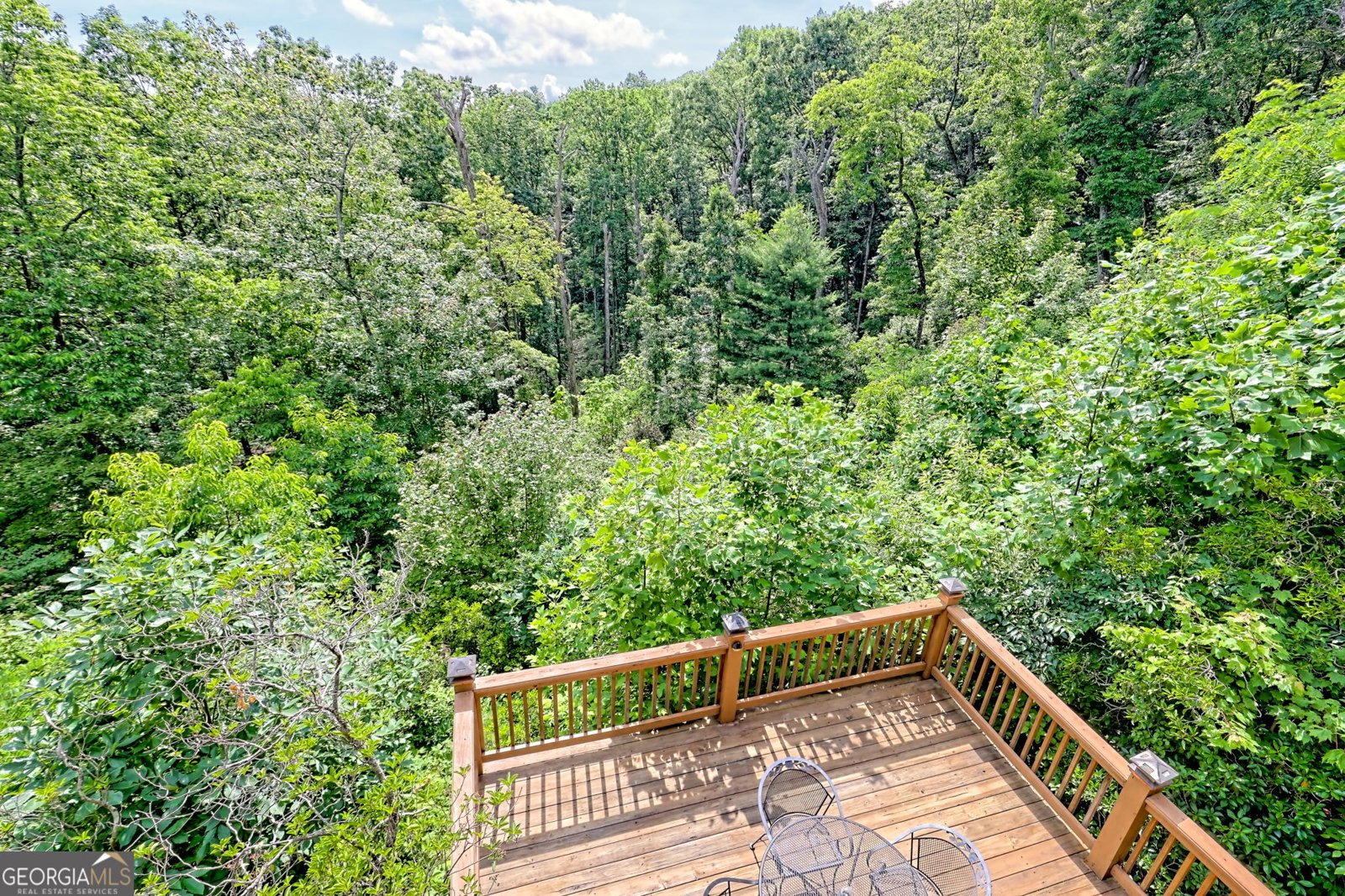 331 Black Bear Den Road Clayton - 23