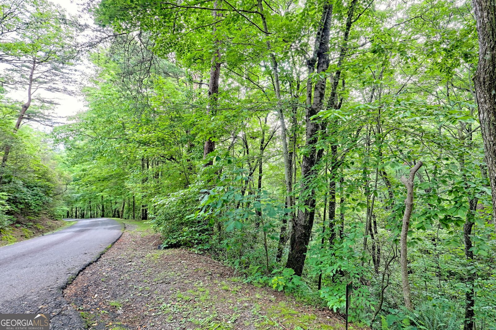 331 Black Bear Den Road Clayton - 36