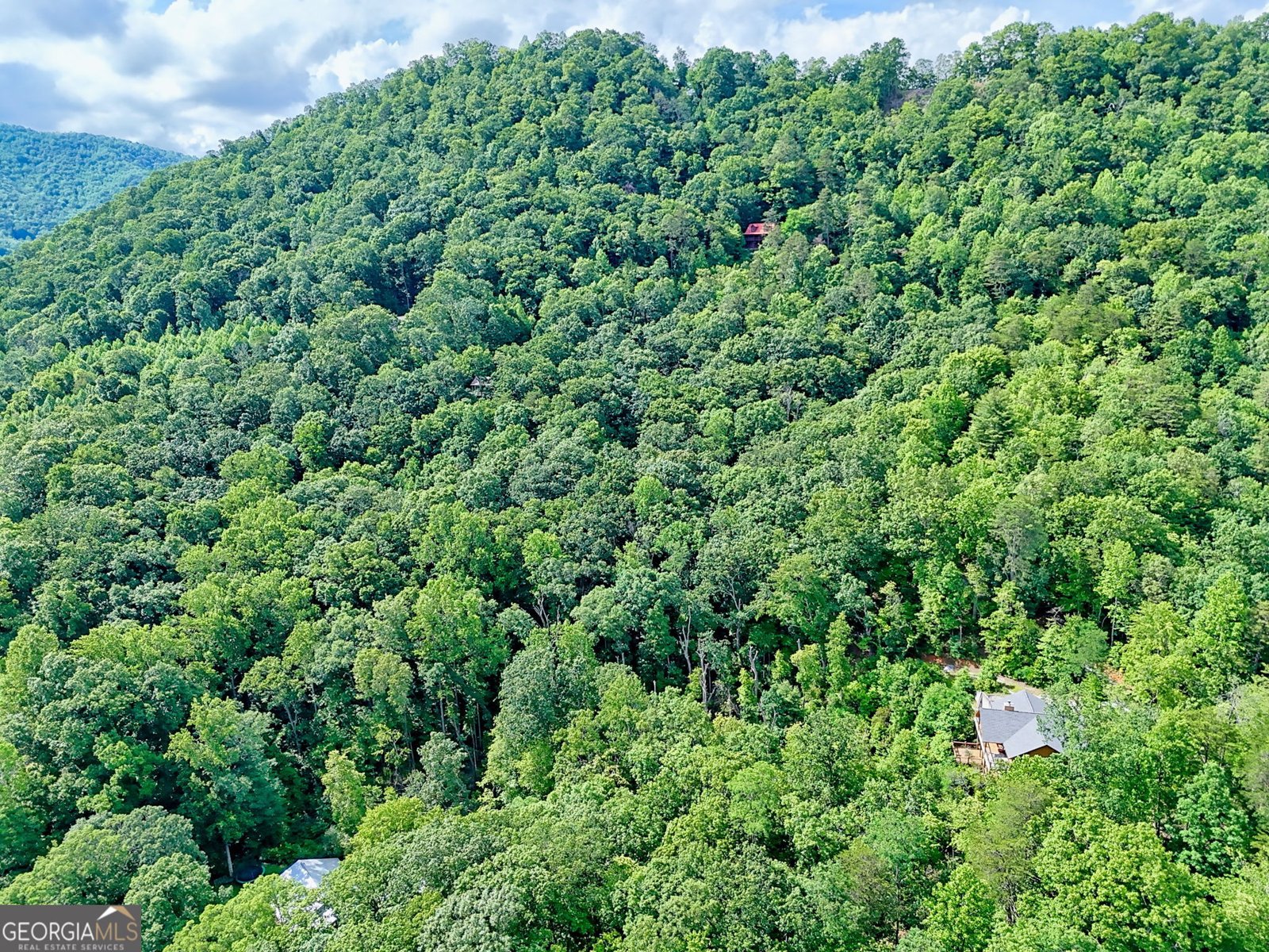 331 Black Bear Den Road Clayton - 37