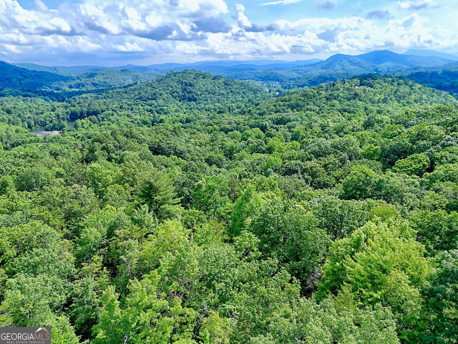 331 Black Bear Den Road Clayton - 38