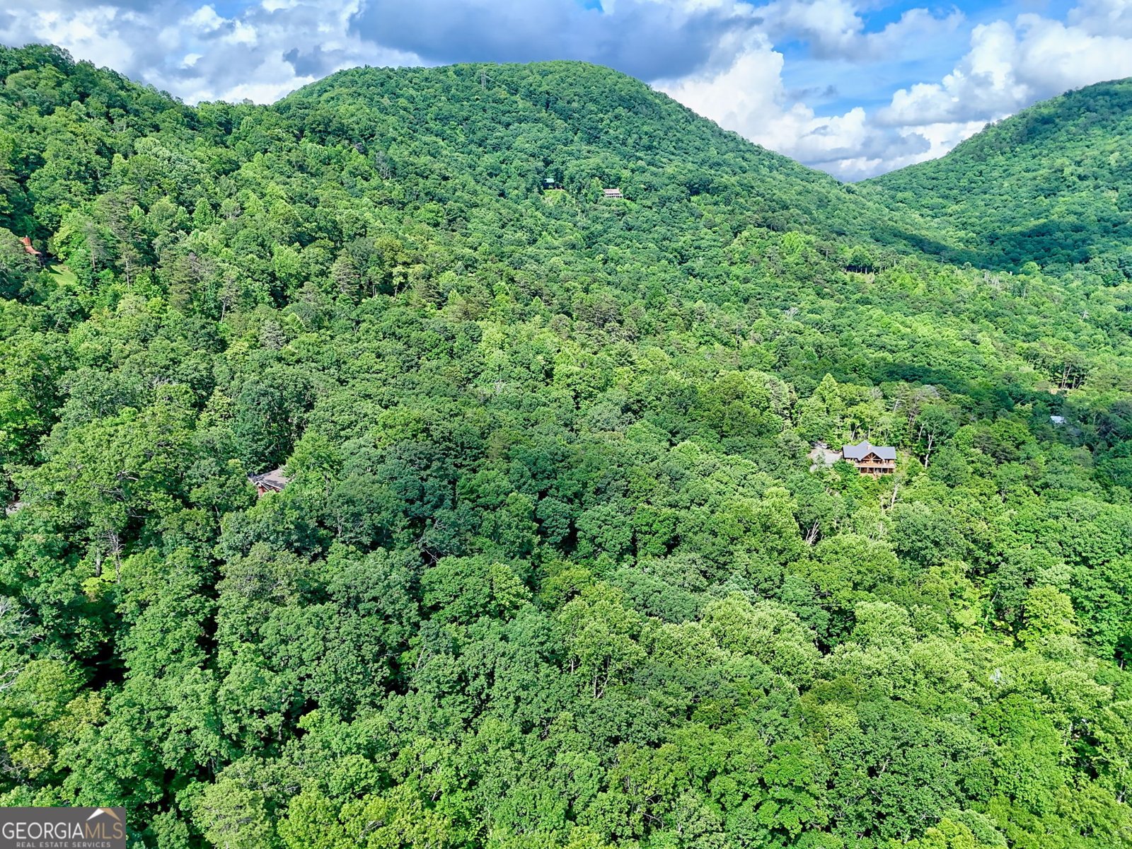 331 Black Bear Den Road Clayton - 40