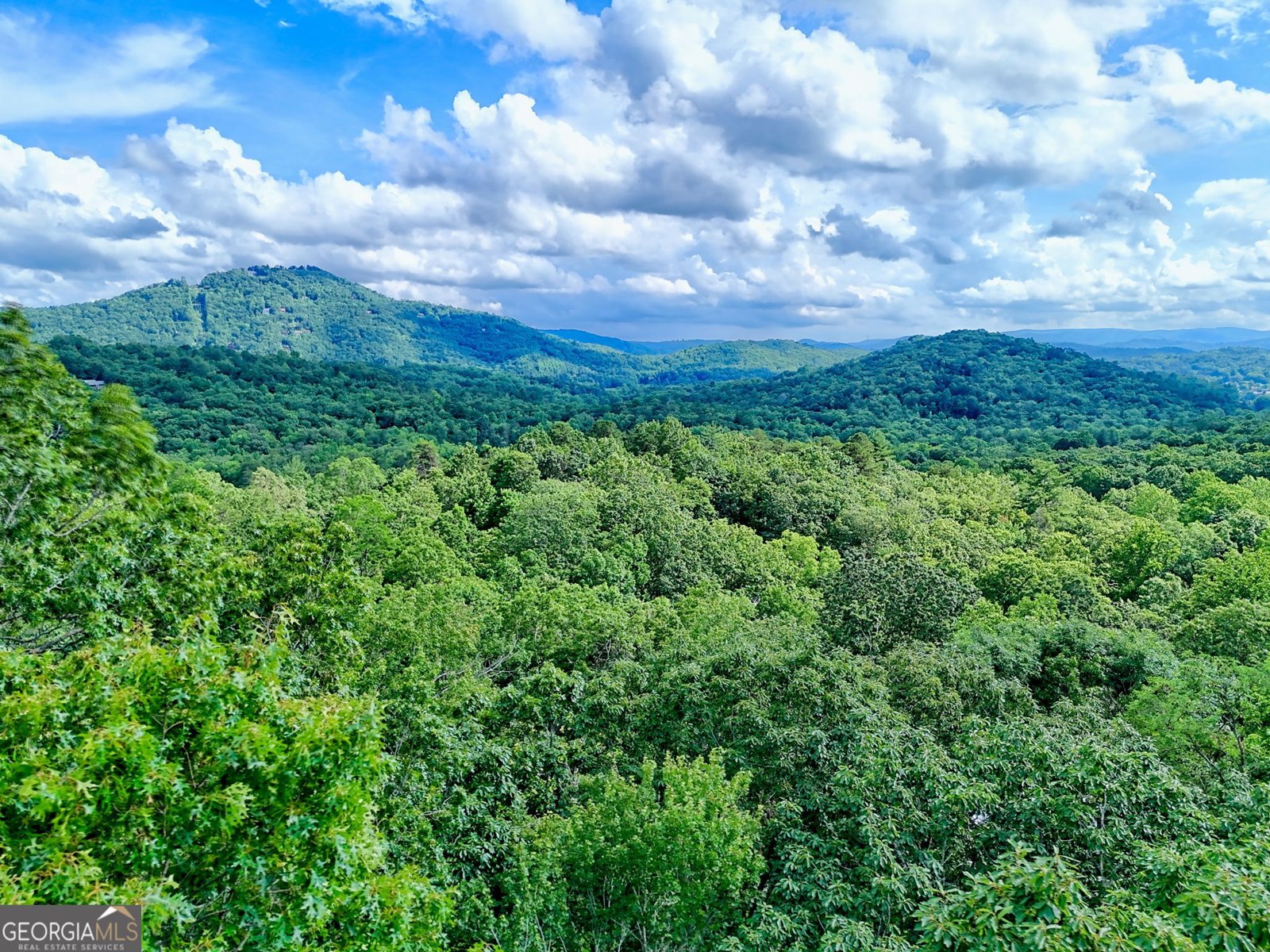 331 Black Bear Den Road Clayton - 42