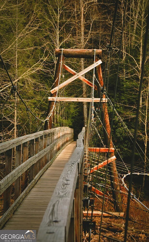 47 Downy Road Blue Ridge - 12