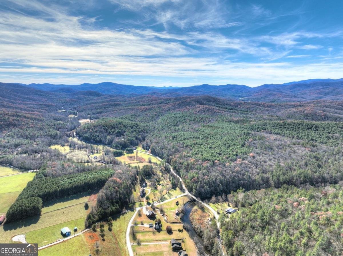 47 Downy Road Blue Ridge - 14